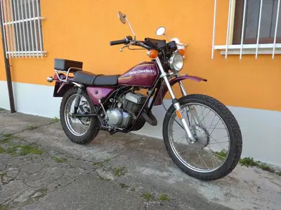 Harley-Davidson SX 250 d'epoca