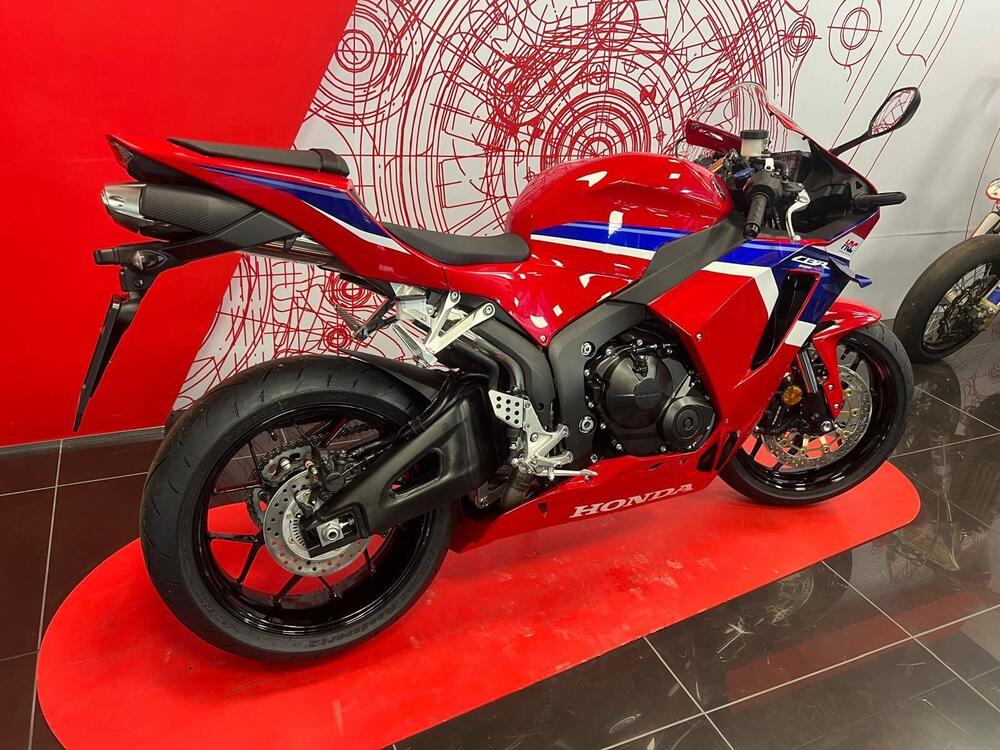 Honda CBR 600 RR (2024 - 25) (5)