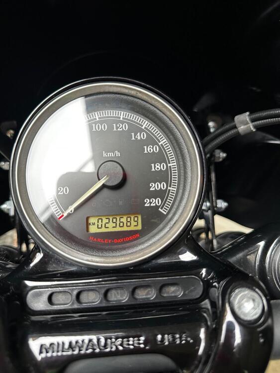 Harley-Davidson 1200 Forty-Eight (2010 - 15) (5)