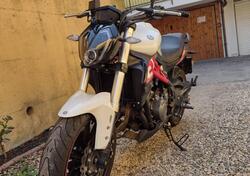 Benelli BN 302 S (2019 - 20) usata