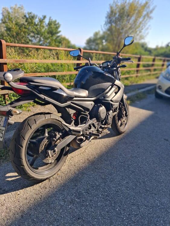 Yamaha XJ6 (2008 - 15) (2)