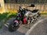 Triumph Trident 660 (2021 - 24) (12)