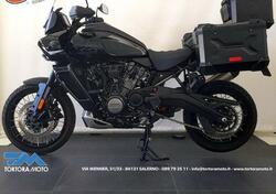 Harley-Davidson Pan America 1250 Special (2020 - 25) usata