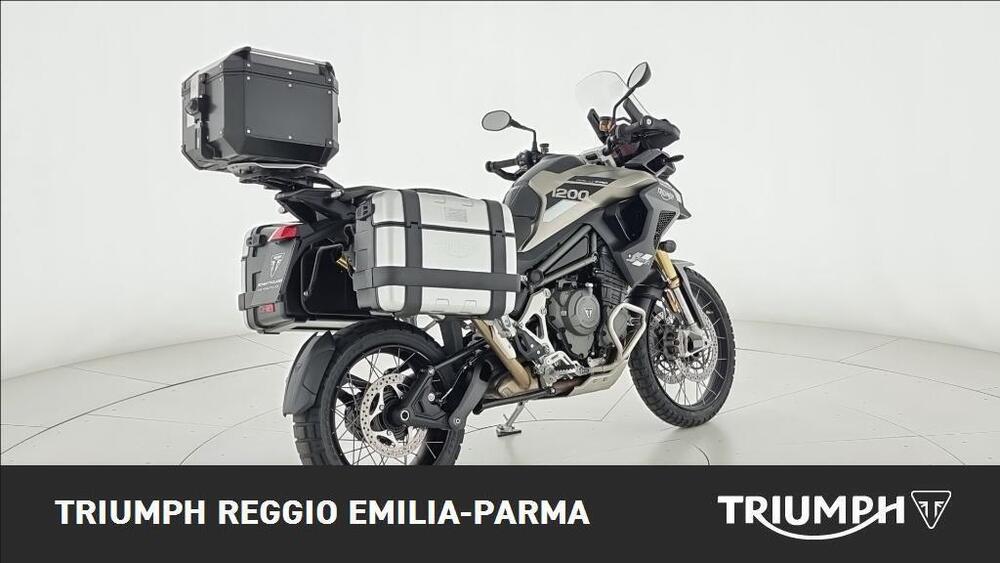 Triumph Tiger 1200 Rally Pro (2024 - 25) (3)