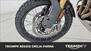 Triumph Tiger 1200 Rally Pro (2024 - 25) (23)