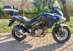 Suzuki SV 650 X (2018 - 20) usata