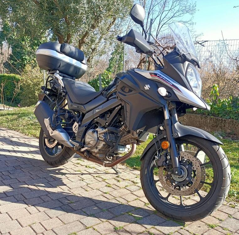 Suzuki SV 650 X (2018 - 20) (3)
