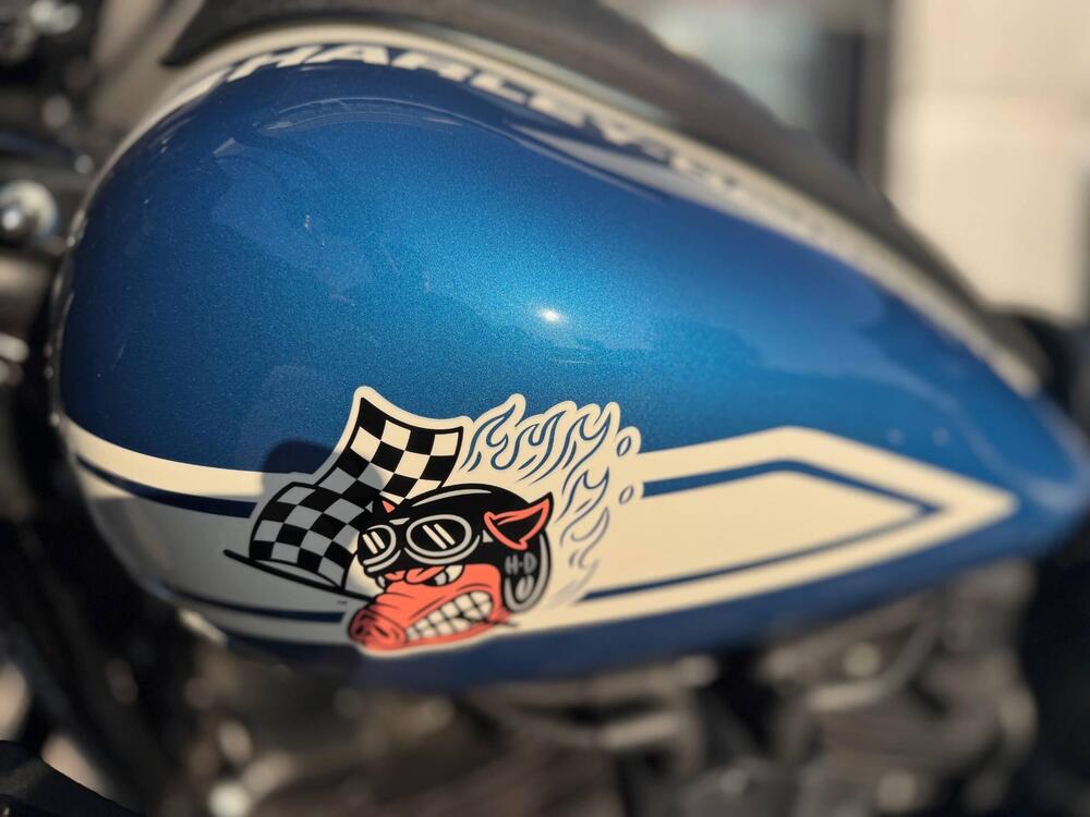 Harley-Davidson Low Rider ST Fast Johnnie Enthusiast (2023) (4)