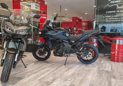 Kawasaki Versys 650 (2025 - 26) nuova