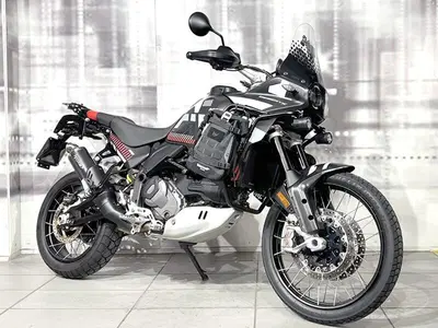 Ducati DesertX (2022 - 25) usata