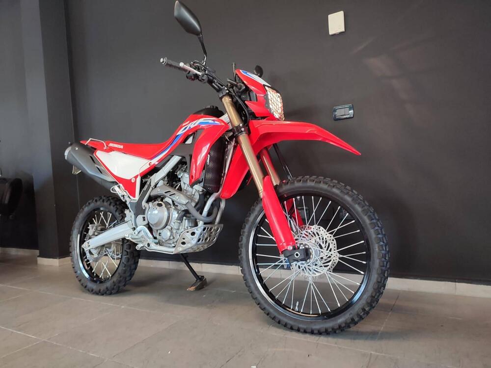 Honda CRF 300 L (2021 - 24) (4)