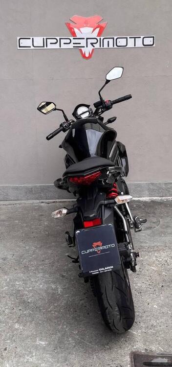 Kawasaki ER-6N (2012 - 13) (4)