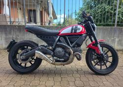 Ducati Scrambler 800 Icon (2015 - 16) usata