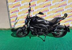 Benelli 502 C (2021 - 25) usata