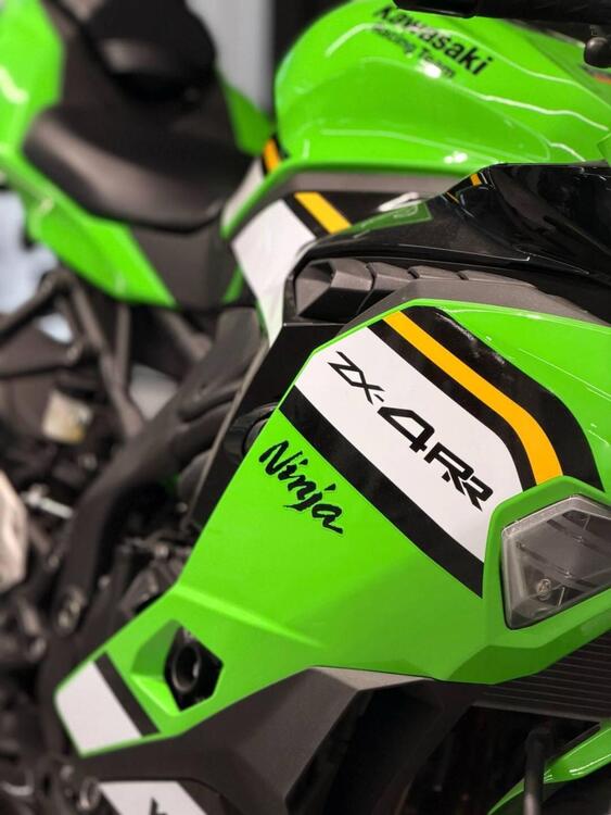 Kawasaki Ninja ZX-4RR (2024 - 26) (3)