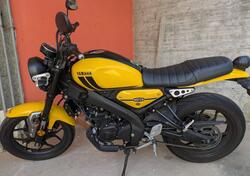 Yamaha XSR 125 (2021 - 24) usata