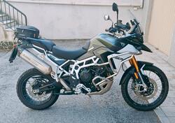 Triumph Tiger 900 Rally Pro (2024 - 25) usata