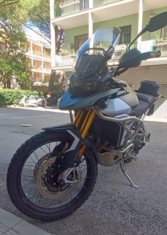 Triumph Tiger 900 Rally Pro (2024 - 25) (3)