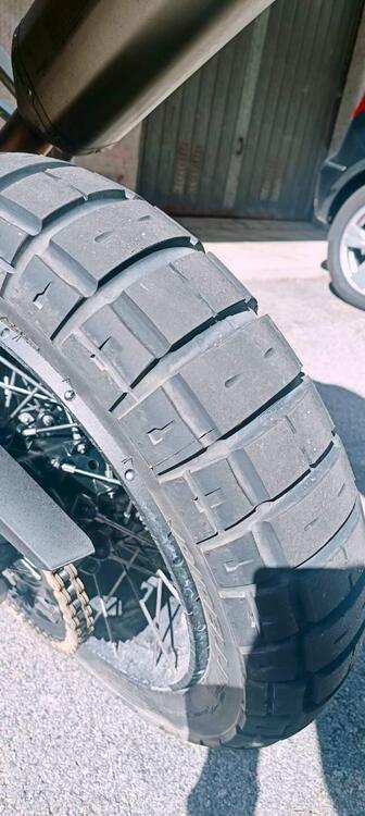 Triumph Tiger 900 Rally Pro (2024 - 25) (4)