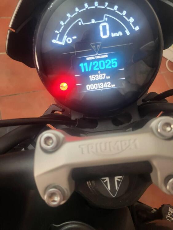 Triumph Trident 660 (2021 - 24) (2)