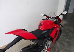 Ducati Panigale V2 (2021 - 24) usata
