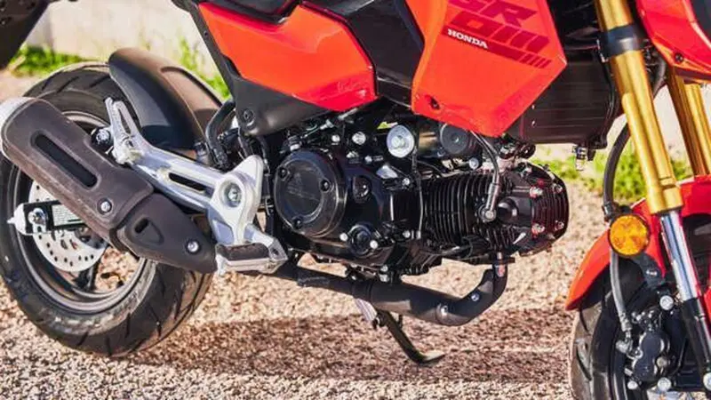 Honda MSX 125 Grom (2021 - 26) (3)