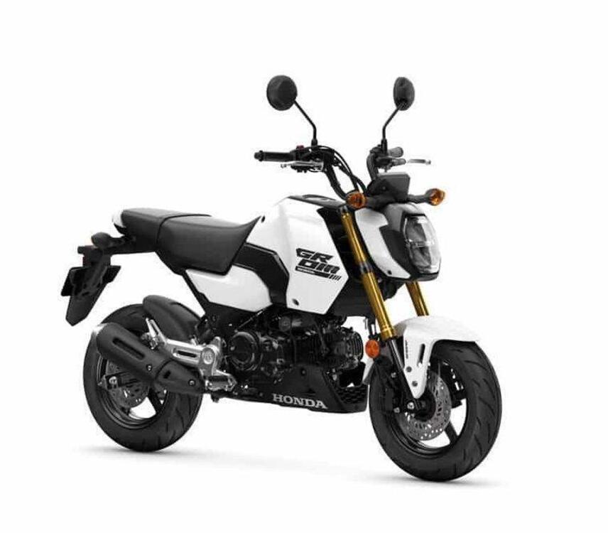 Honda MSX 125 Grom (2021 - 25)