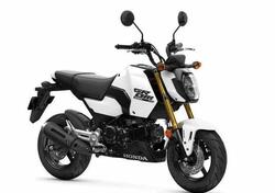 Honda MSX 125 Grom (2021 - 25) nuova
