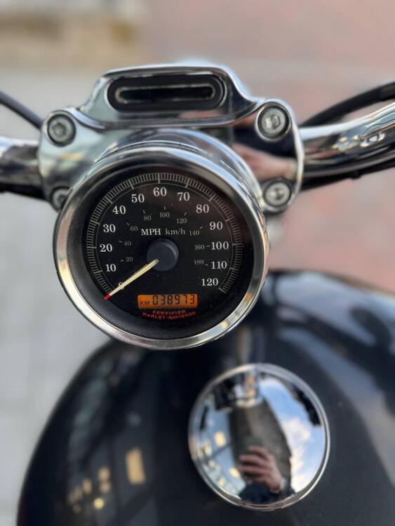 Harley-Davidson 883 Custom (2006 - 07) - XL 883C (5)