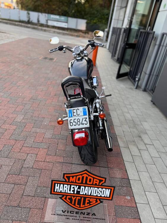 Harley-Davidson 883 Custom (2006 - 07) - XL 883C (4)