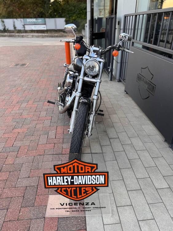 Harley-Davidson 883 Custom (2006 - 07) - XL 883C (3)