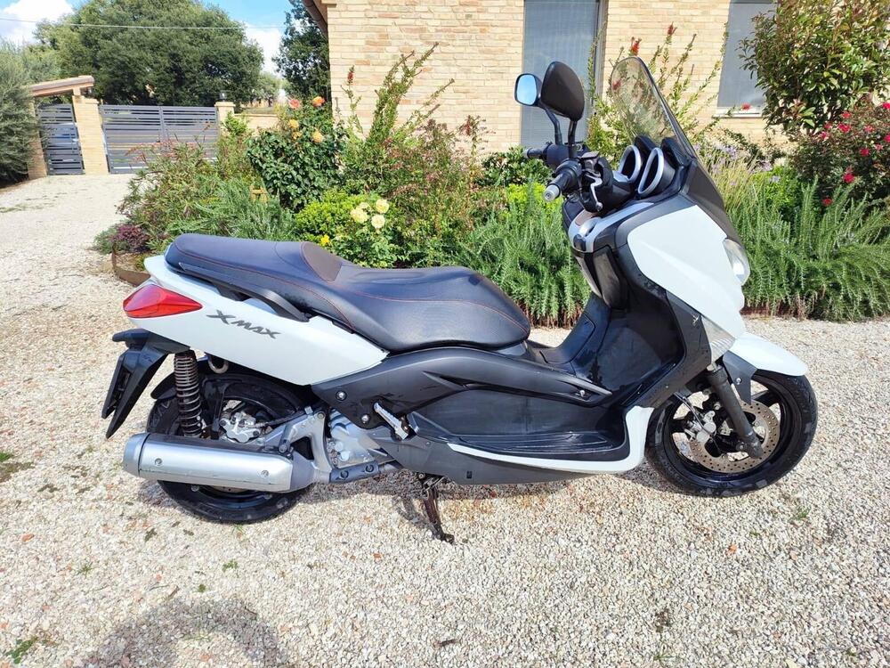 Yamaha X-Max 250 (2010 - 13) (2)