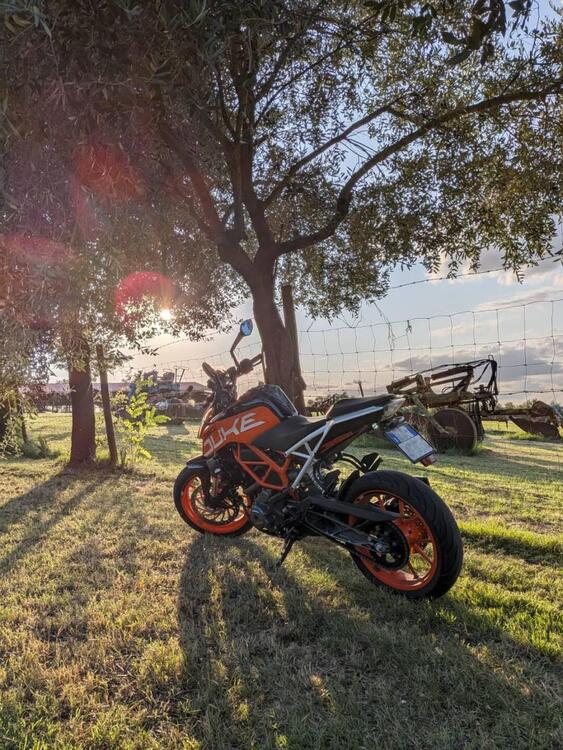 KTM 390 Duke ABS (2017 - 20) (2)