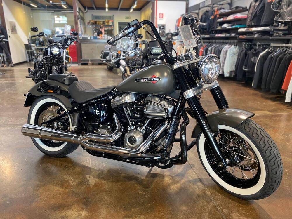 Harley-Davidson 107 Slim (2018 - 20) - FLSL (2)
