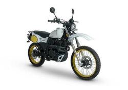 Swm Silver Vase 440 (2015 - 16) nuova