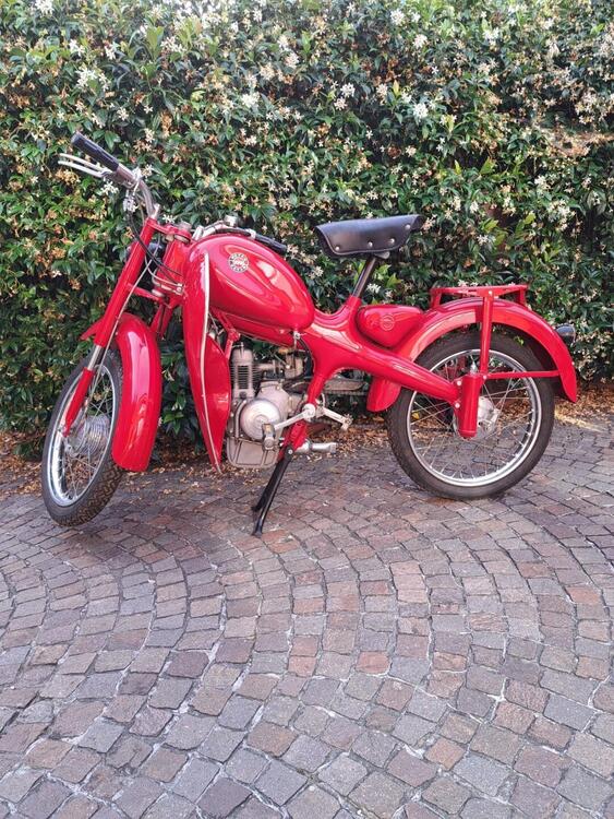 Motom Motom 48 Turismo