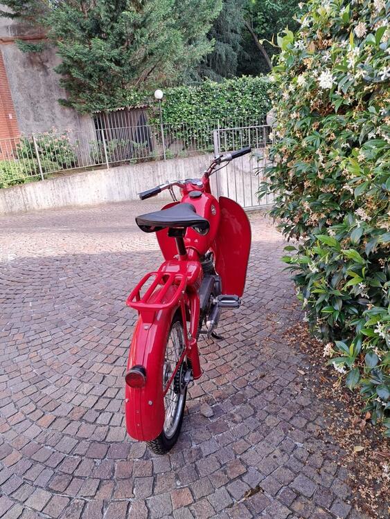 Motom Motom 48 Turismo (4)