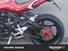 MV Agusta Brutale 800 RR (2015 - 16) (7)