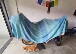 Honda Transalp XL 700 V (2007 - 2013) usata