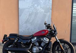 Harley-Davidson Nightster (2023 - 25) usata