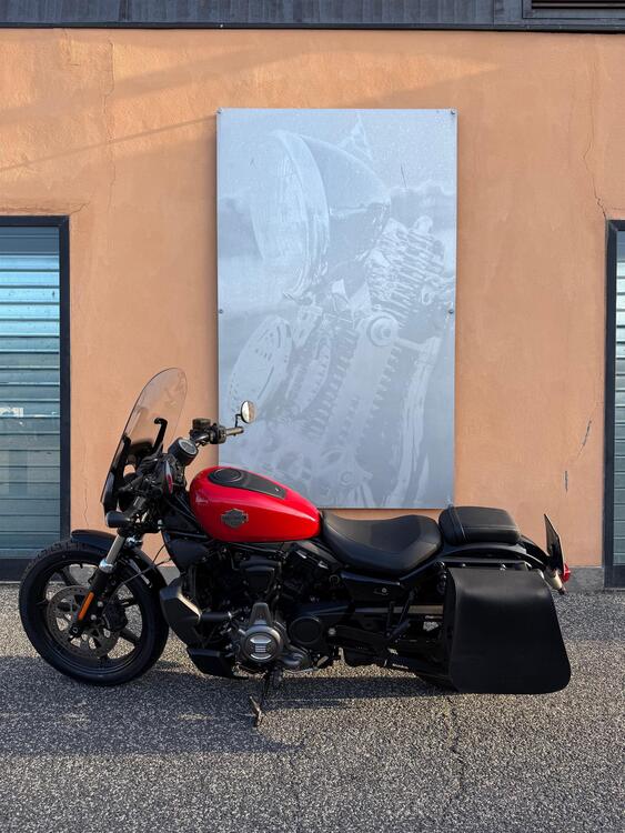 Harley-Davidson Nightster (2023 - 25) (4)