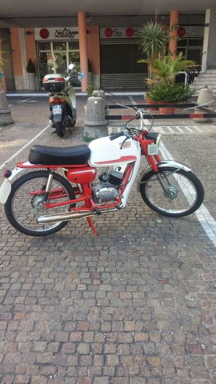 Rizzato Ringo 50 (3)