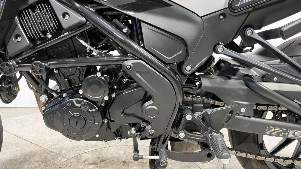 Benelli Leoncino 250 (2019 - 20) (4)