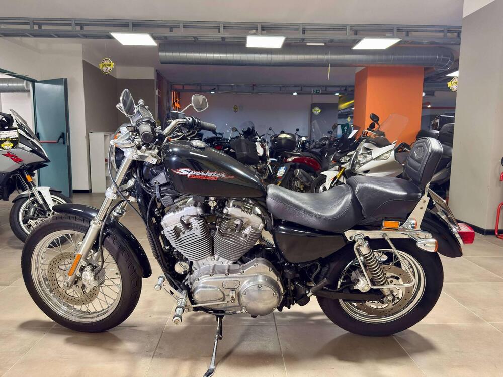 Harley-Davidson 883 (2006 - 07) - XL (4)