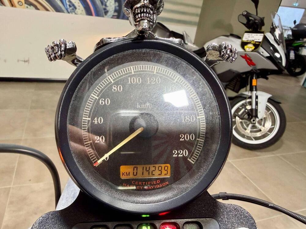 Harley-Davidson 883 (2006 - 07) - XL (5)