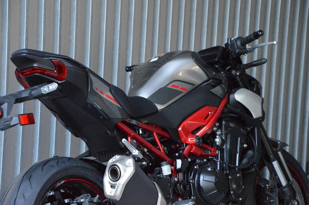 Kawasaki Z 900 A2 (2025 - 26) (5)
