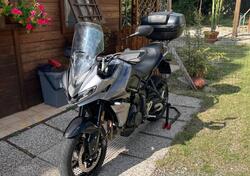 Triumph Tiger Sport 660 (2022 - 24) usata
