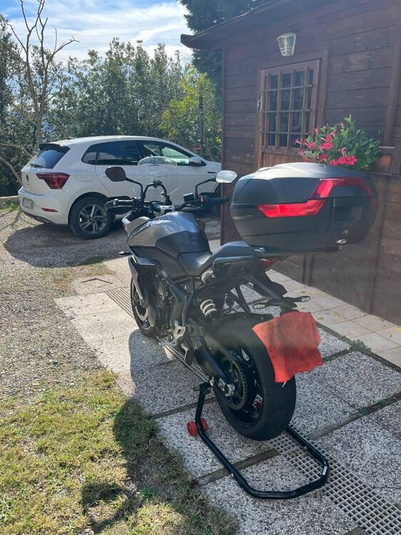 Triumph Tiger Sport 660 (2022 - 24) (4)