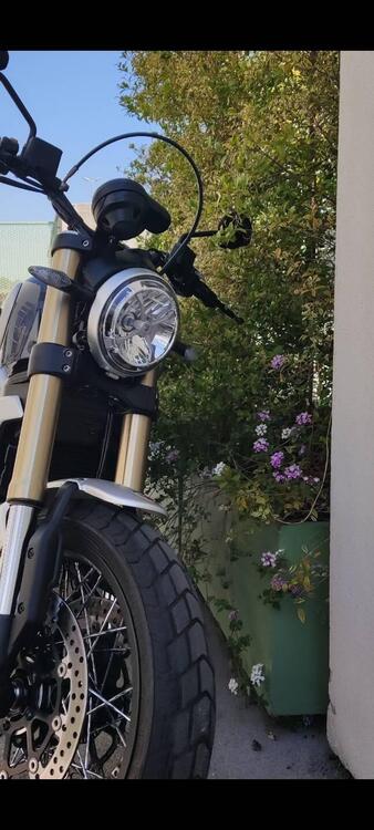Ducati Scrambler 1100 Special (2018 - 20) (4)