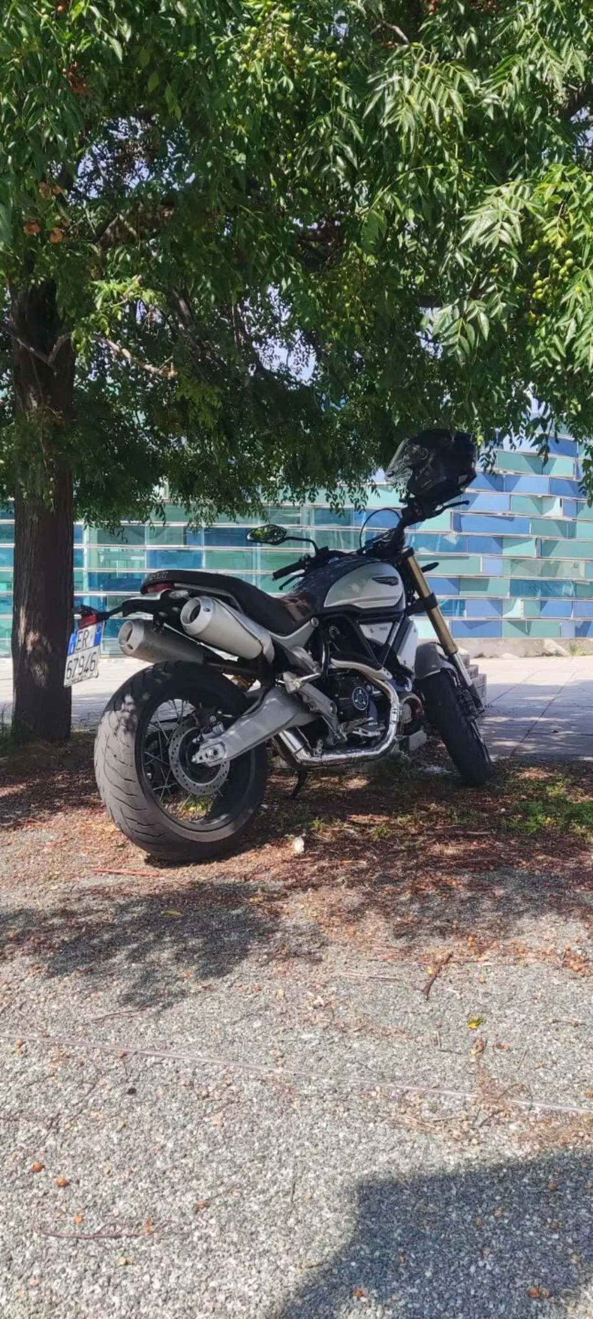 Ducati Scrambler 1100 Special (2018 - 20) (16)